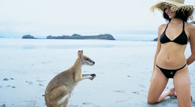 Image courtesy of Tourism Queensland