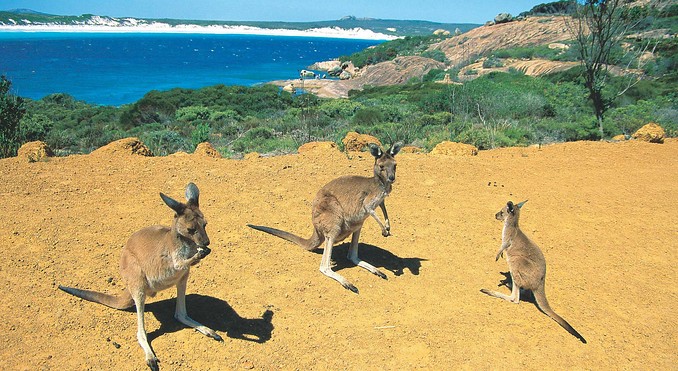 Image courtesy of Western Australia