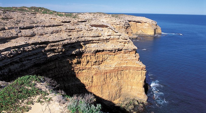 Cape Spencer