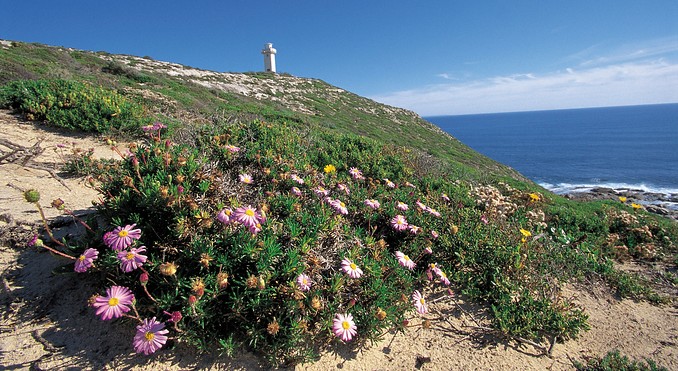 Image courtesy of South Australia