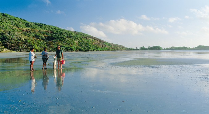 Image courtesy of Tourism Queensland