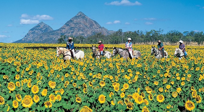 Image courtesy of Tourism Queensland
