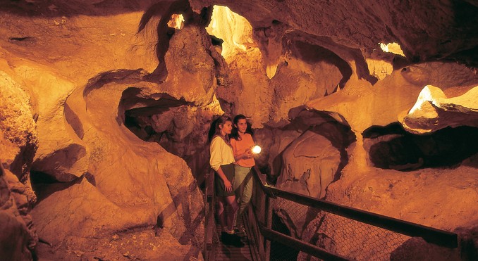 Image courtesy of Tourism Queensland