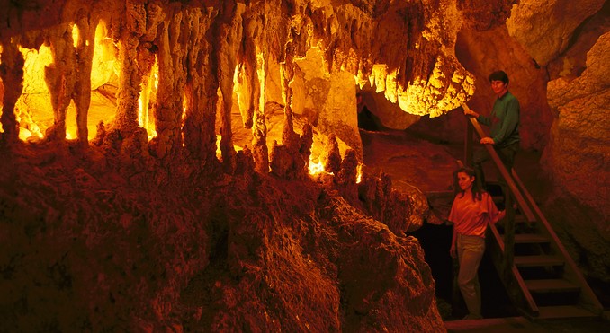Image courtesy of Tourism Queensland