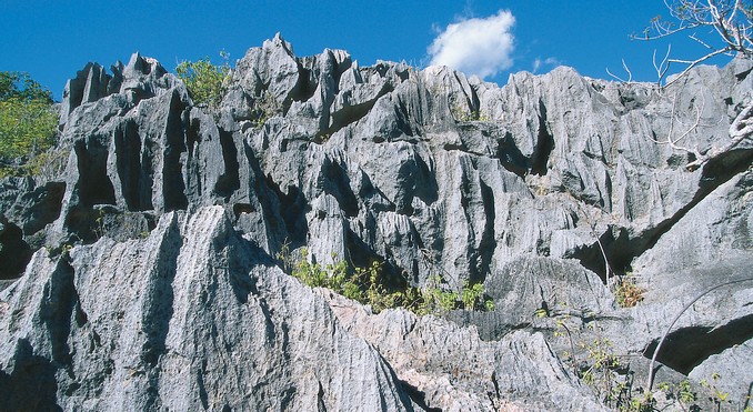 Image courtesy of Tourism Queensland