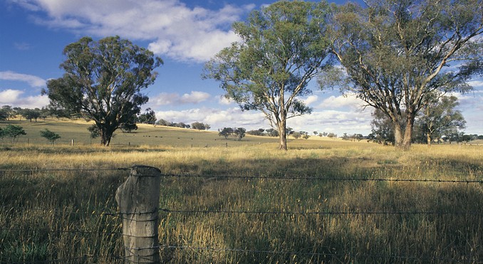 Image courtesy of Tourism New South Wales