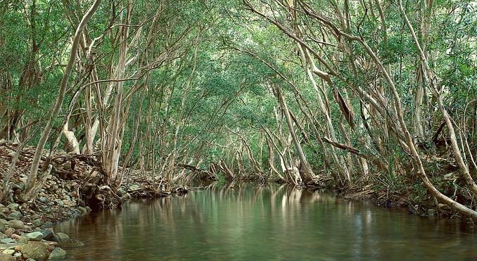 Image courtesy of Tourism Queensland