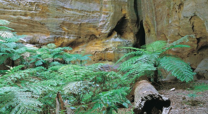 Image courtesy of Tourism Queensland