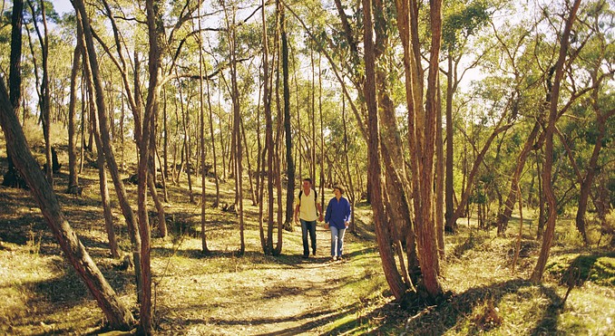 Image courtesy of Tourism Victoria