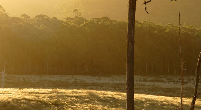 Image courtesy of Tourism Tasmania