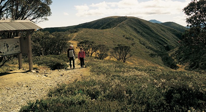 Image courtesy of Tourism Victoria