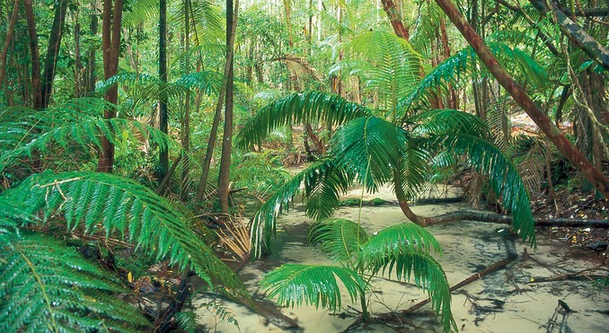 Image courtesy of Tourism Queensland