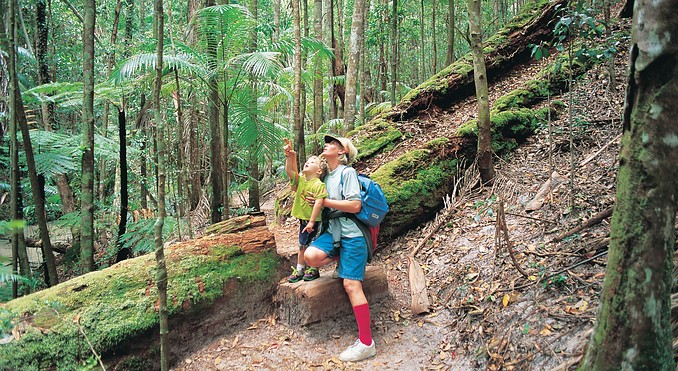 Image courtesy of Tourism Queensland