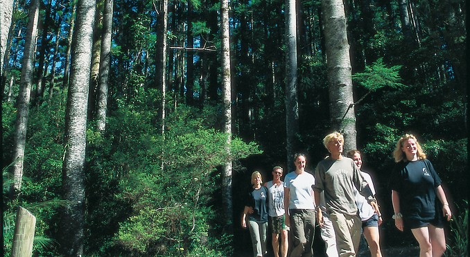 Image courtesy of Tourism Queensland