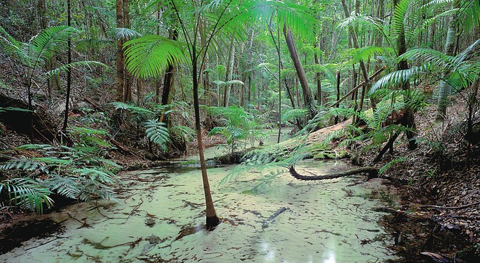 Image courtesy of Tourism Queensland