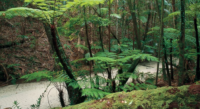 Image courtesy of Tourism Queensland