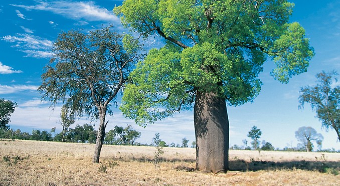 Image courtesy of Tourism Queensland