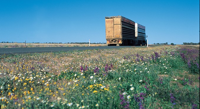Image courtesy of Tourism Queensland