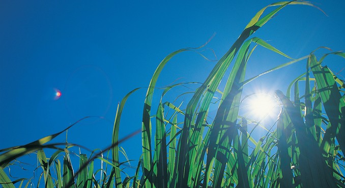 Image courtesy of Tourism Queensland