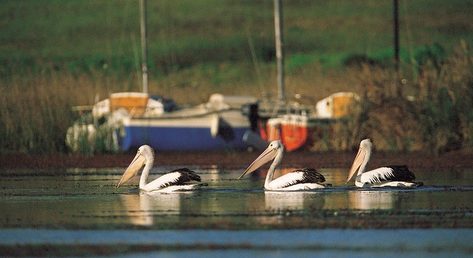 Image courtesy of South Australia