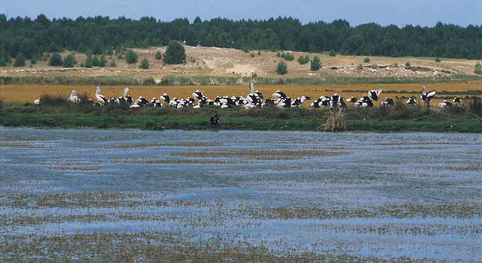 Image courtesy of South Australia