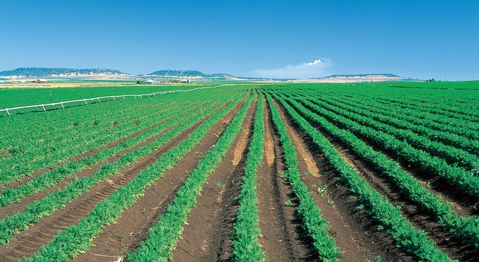 Image courtesy of Tourism Queensland