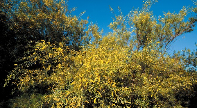Image courtesy of Tourism Queensland