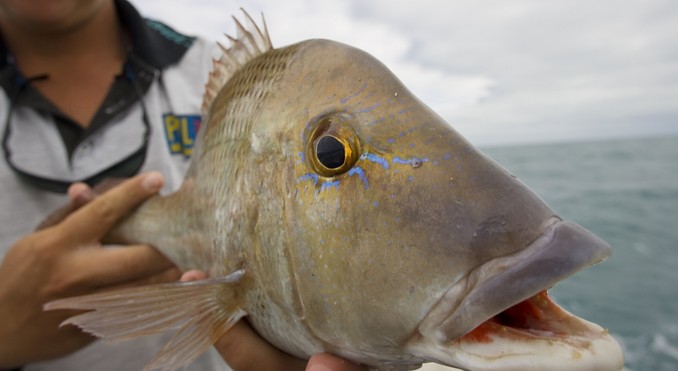 Image courtesy of Tourism NT