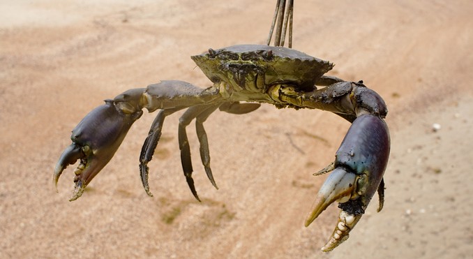Image courtesy of Tourism NT