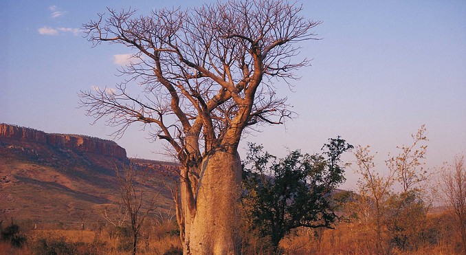 Image courtesy of Western Australia