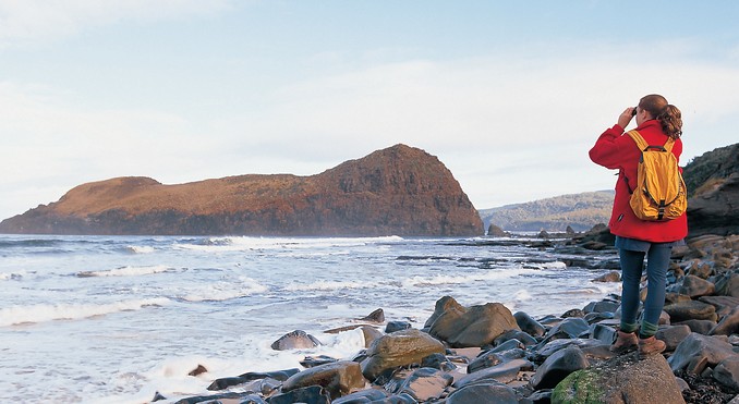 Tourism Tasmania and Geoffrey Lea