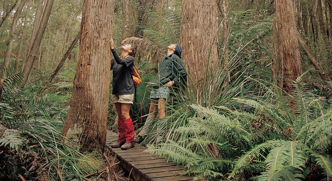 Tourism Tasmania and Geoffrey Lea