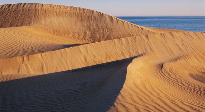 Image courtesy of South Australia