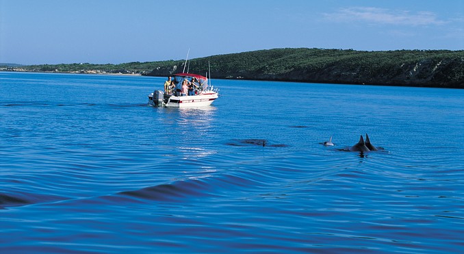 Image courtesy of South Australia