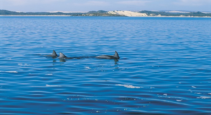 Image courtesy of South Australia