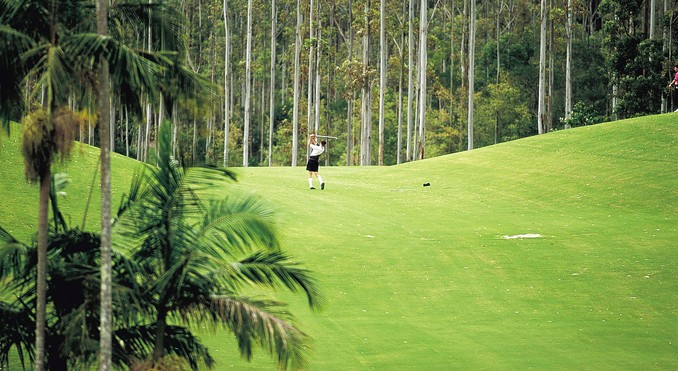 Image courtesy of Tourism New South Wales
