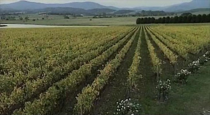 Image courtesy of Tourism Victoria