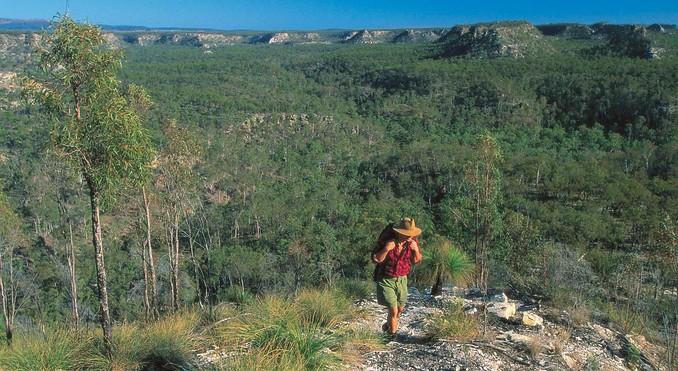 Image courtesy of Tourism Queensland