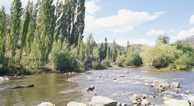 Image courtesy of Tourism New South Wales
