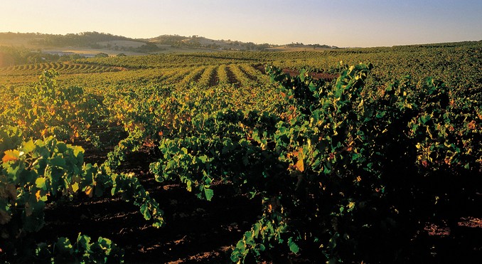 Coonawarra