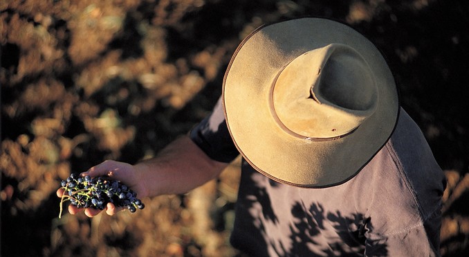 Image courtesy of South Australia