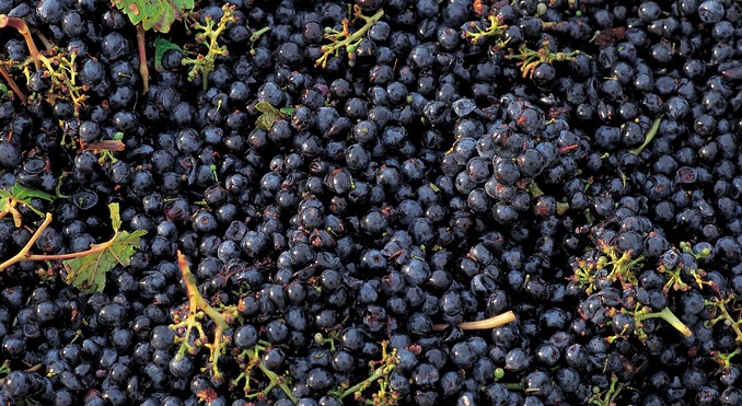 Image courtesy of South Australia