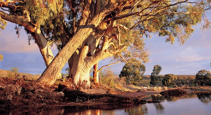 Image courtesy of South Australia