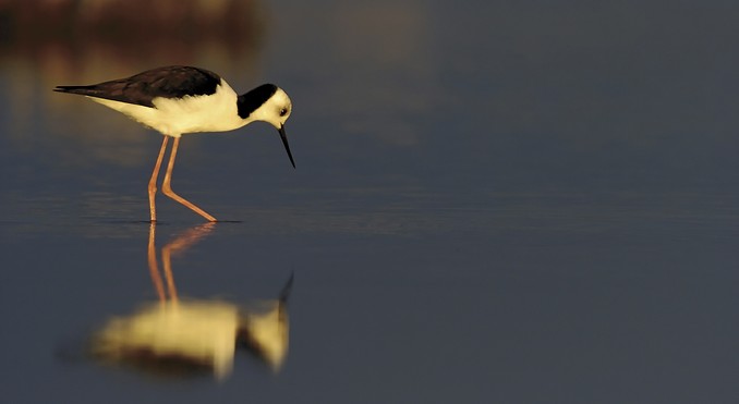 Image courtesy of South Australia
