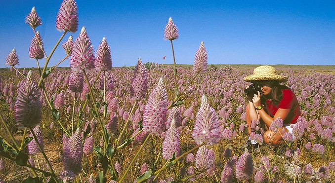 Image courtesy of Western Australia