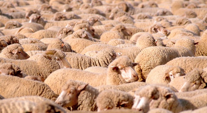 Image courtesy of Western Australia