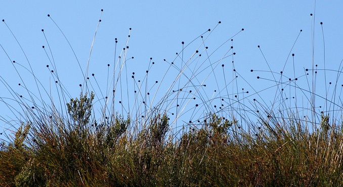 Image courtesy of Tourism Tasmania