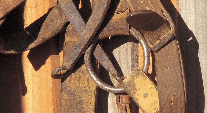 Image courtesy of South Australia