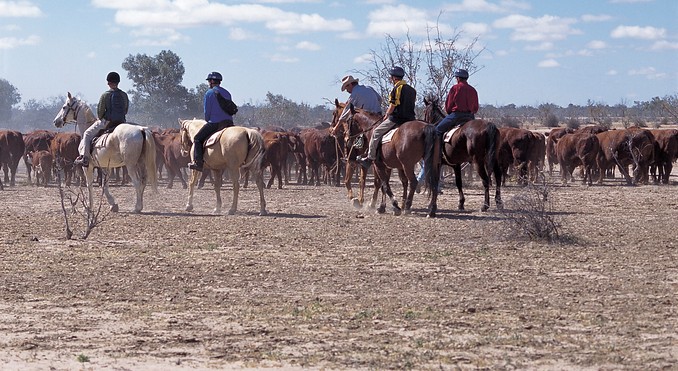 Image courtesy of South Australia