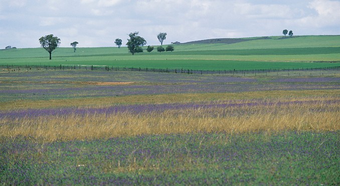 Hamilton Lund (2002)